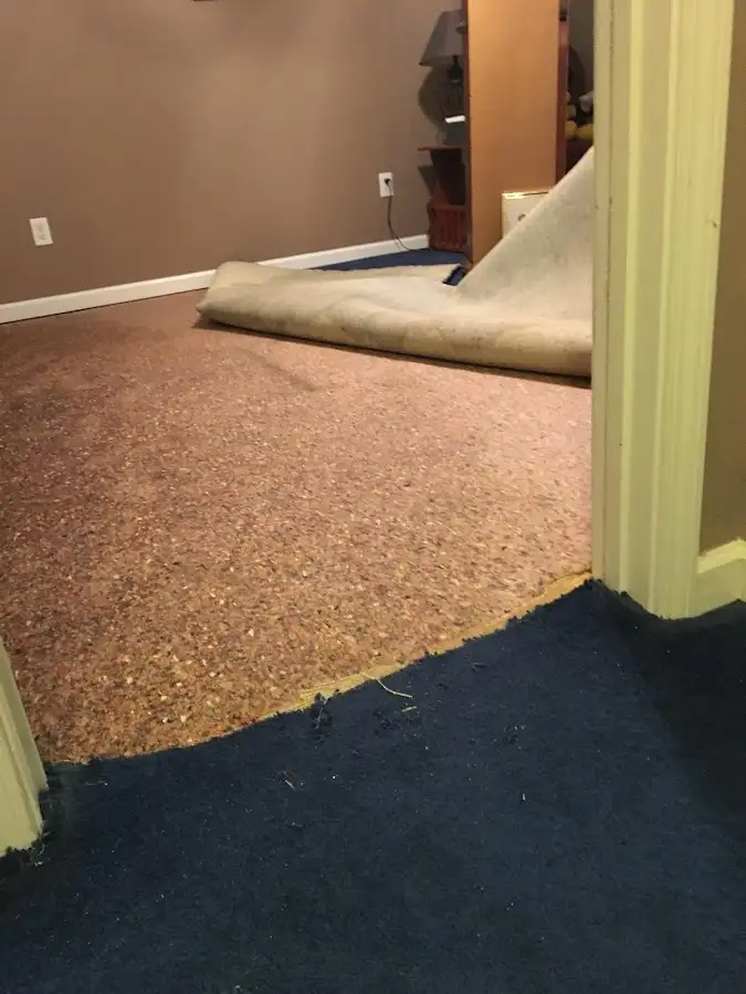 Carpet pad removal revealing water damage during Drying & Dehumidification in Burlington